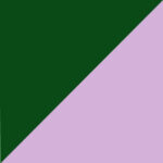 28 - GREEN VIOLET