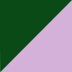 28 - GREEN VIOLET