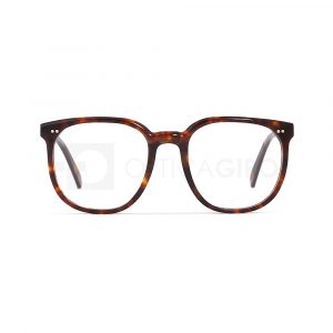 lunettes alf a21.09