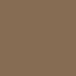 09 - TRANSPARENT BROWN